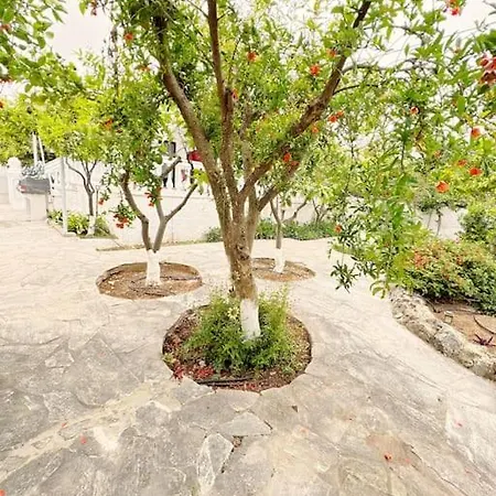 House With Garden In Holiday home