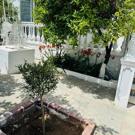 House With Garden In *