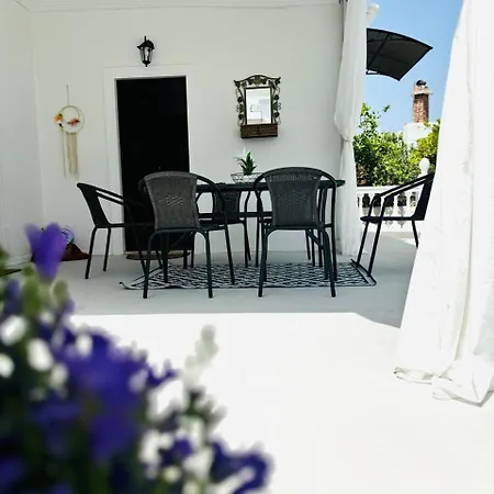 House With Garden In