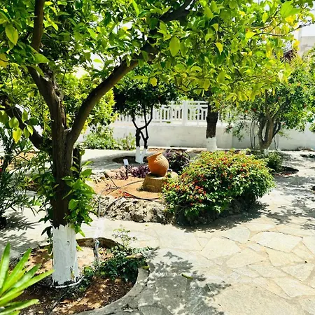 House With Garden In Holiday home *
