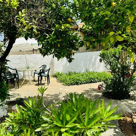 House With Garden In Artemida (Attica)